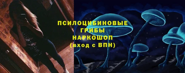 гидра Алзамай