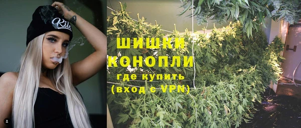 гидра Алзамай