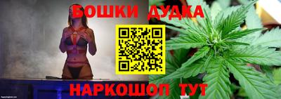 скорость Дубна