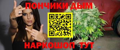 скорость Дубна