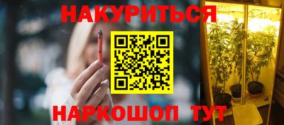 скорость Дубна